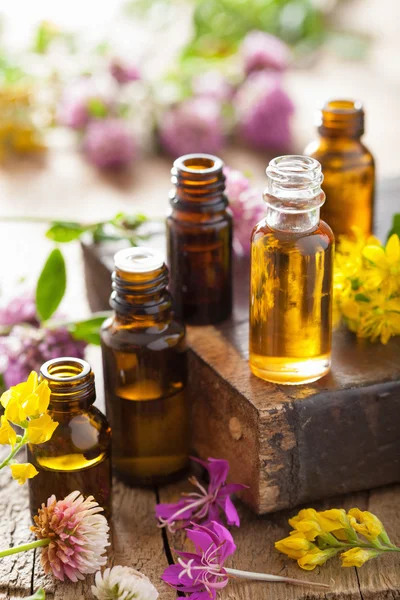 Essential oils and medical flowers herbs — Stock Photo, Image