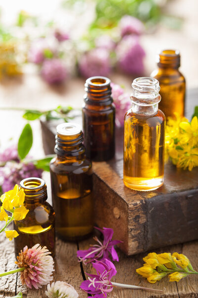 essential oils and medical flowers herbs 