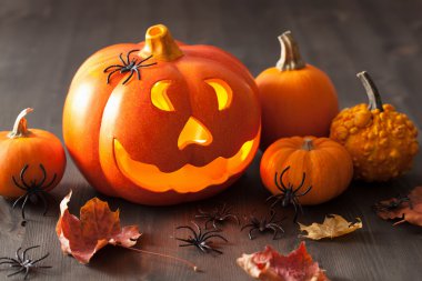 halloween Jack O Lantern pumpkin spiders leaves clipart