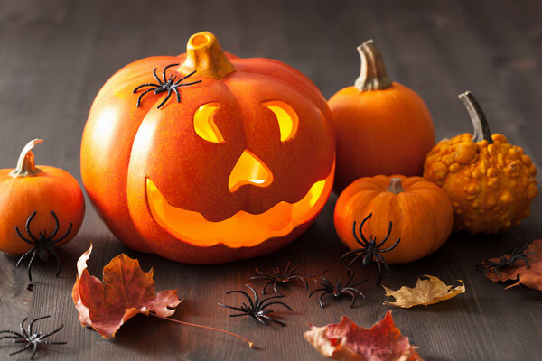 halloween Jack O Lantern pumpkin spiders leaves
