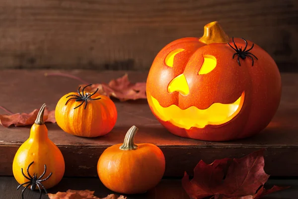 Halloween Jack O Lanterna zucca ragni foglie — Foto Stock