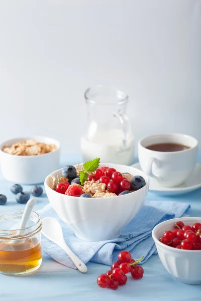 ベリーやコーンフレークと健康的な朝食 — ストック写真