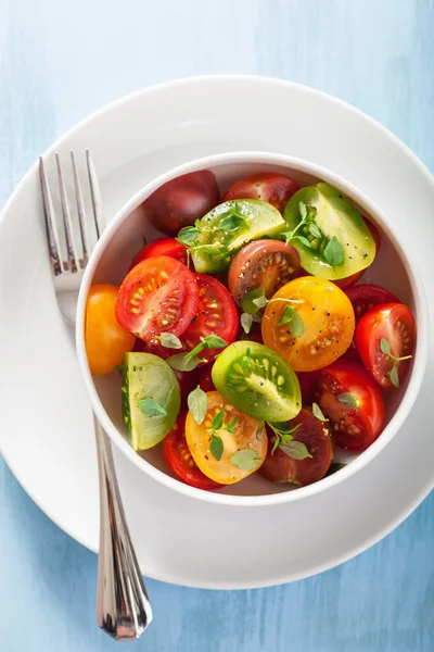 Gezonde salade met kleurrijke tomaten — Stockfoto