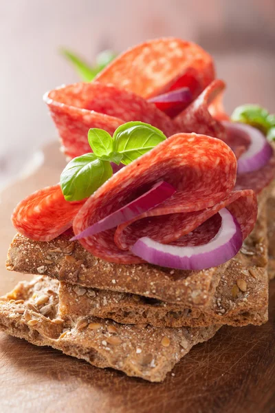 Pieczywo chrupkie z salami i czerwona cebula — Zdjęcie stockowe