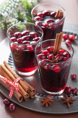 Kızılcık ve baharat, kış içki ile mulled şarap