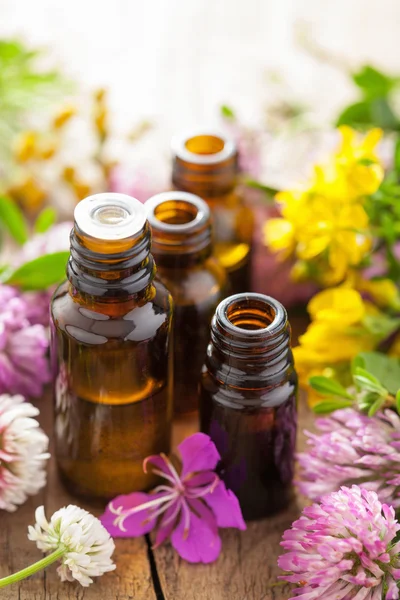 Essential oils and medical flowers herbs — Stock Photo, Image