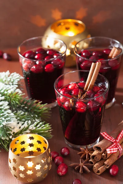 杯蔓越莓和香料，冬天喝热红酒 — 图库照片