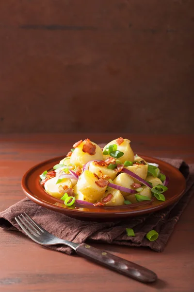 Ensalada de patata con mostaza de cebolla con tocino —  Fotos de Stock