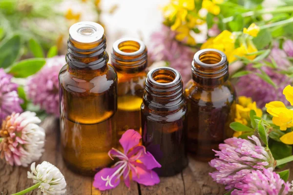 Essential oils and medical flowers herbs — Stock Photo, Image