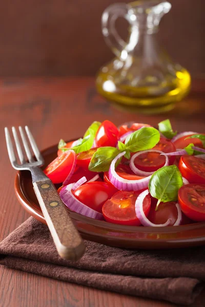 Soğan fesleğen zeytinyağı ve balsamik vin sağlıklı domates salatası — Stok fotoğraf