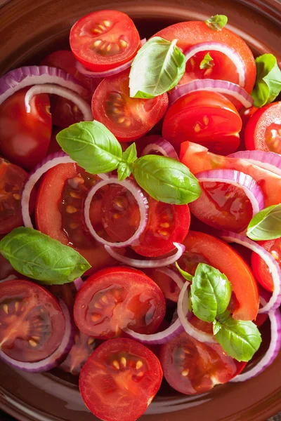 Gesunder Tomatensalat mit Zwiebeln-Basilikum-Olivenöl und Balsamico-Wein — Stockfoto