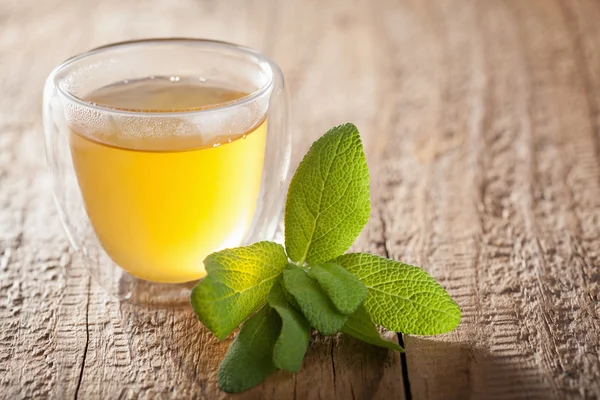 Tisane à base de sauge aux feuilles vertes dans des tasses en verre — Photo