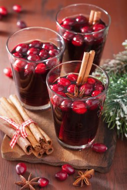 Kızılcık ve baharat, kış içki ile mulled şarap