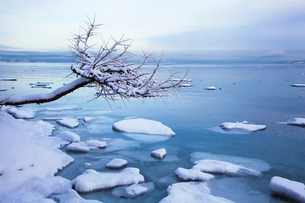 Zimní norský fjord krajina s strom a LED — Stock fotografie