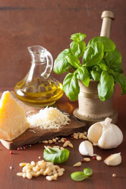 ahşap rustik arka plan üzerinde pesto soslu için malzemeler