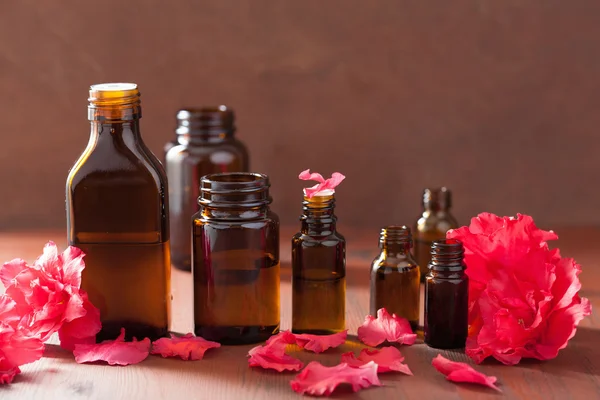 Esenciální olej azalea květiny na tmavém pozadí rustikální — Stock fotografie