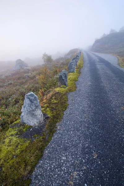 Neblige Straße in Norwegen gamle strynefjellsvegen — Stockfoto