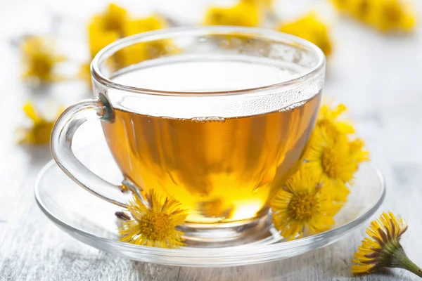 Herbal tea with coltsfoot flowers — Stock Photo, Image