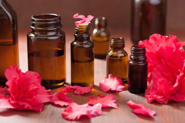 esans açelya çiçek rustik koyu arka plan üzerinde 