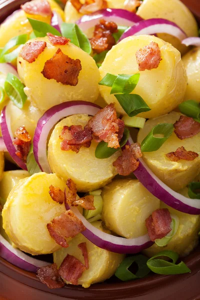 Insalata di patate con senape di cipolla di pancetta — Foto Stock