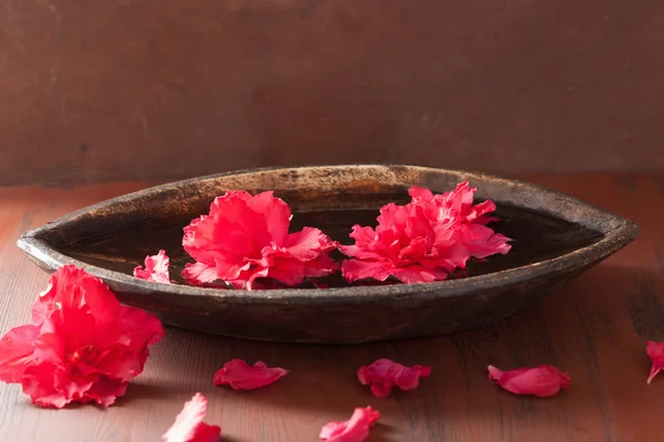 Цветы азалии в миске для ароматерапии спа — стоковое фото