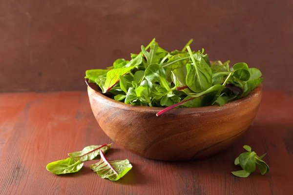 Fresh salad leaves in bowl: spinach, mangold, ruccola — Zdjęcie stockowe