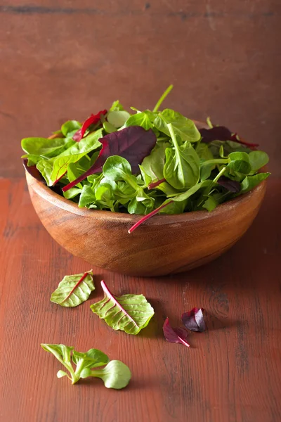 Fresh salad leaves in bowl: spinach, mangold, ruccola — Zdjęcie stockowe