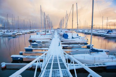trondheim Marinada kış manzarası