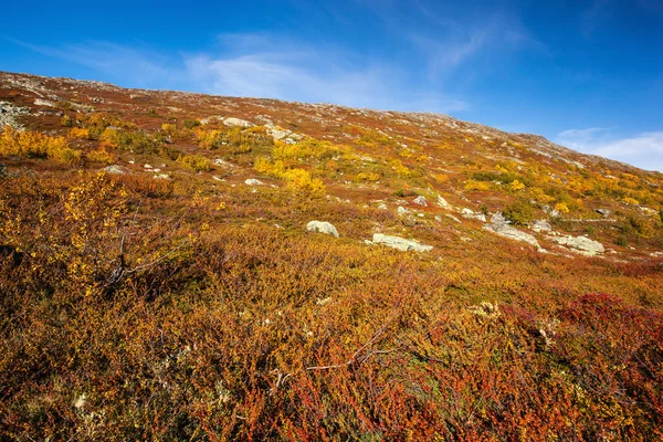 Ensoleillé paysage d'automne Norvège Gamle Strynefjellsvegen — Photo