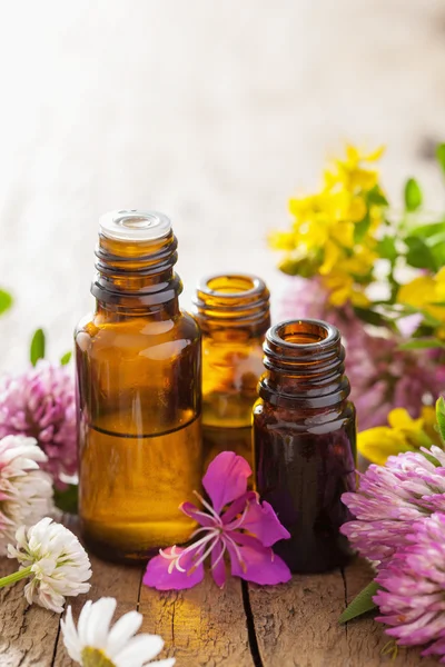 Essential oils and medical flowers herbs — Stock Photo, Image