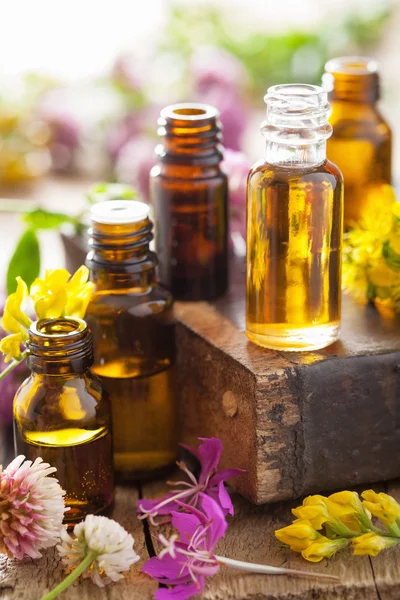 Essential oils and medical flowers herbs — Stock Photo, Image