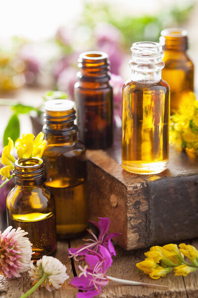 essential oils and medical flowers herbs
