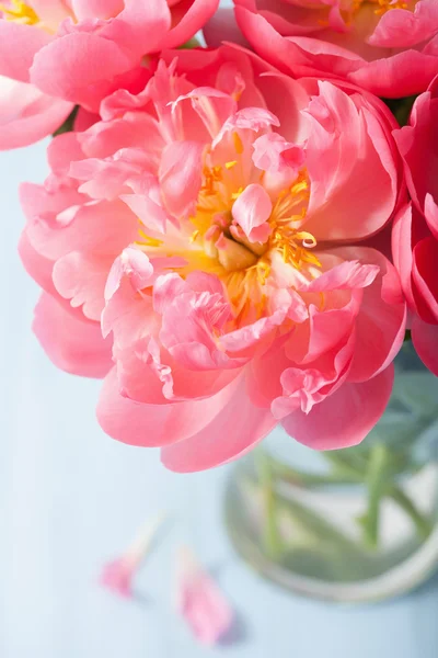 美しいピンクの牡丹の花瓶の花束 — ストック写真