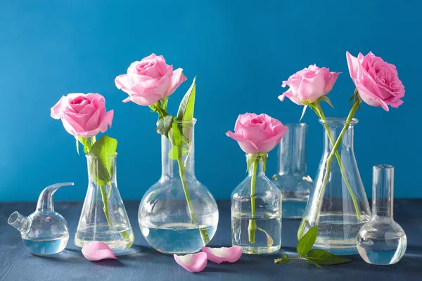 Fleurs roses roses en flacons chimiques sur bleu — Photo