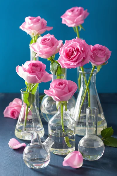 Rosa Rosenblüten in Chemiekolben über blau — Stockfoto