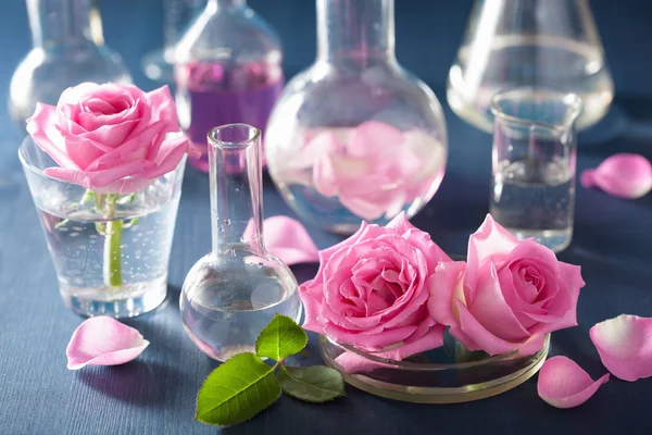 Ensemble alchimie et aromathérapie avec fleurs de roses et flasques chimiques — Photo