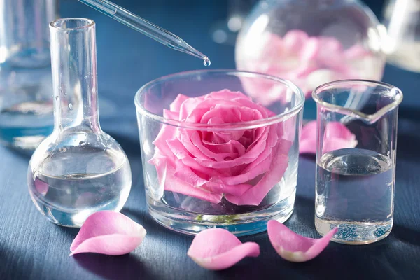 Alkemi och aromaterapi med rosa blommor och kemiska kolvar — Stockfoto
