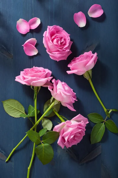 Flori roz trandafir peste fundal albastru închis — Fotografie, imagine de stoc