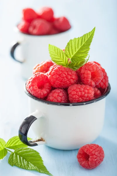 Raspberry segar dalam cangkir enamel dengan latar belakang biru — Stok Foto