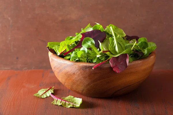 Fresh salad leaves in bowl: spinach, mangold, ruccola — Zdjęcie stockowe