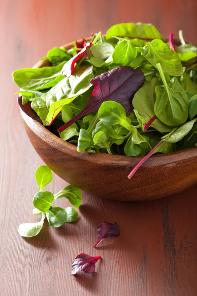 Свежие листья салата в миске: шпинат, мангольд, руккола — стоковое фото