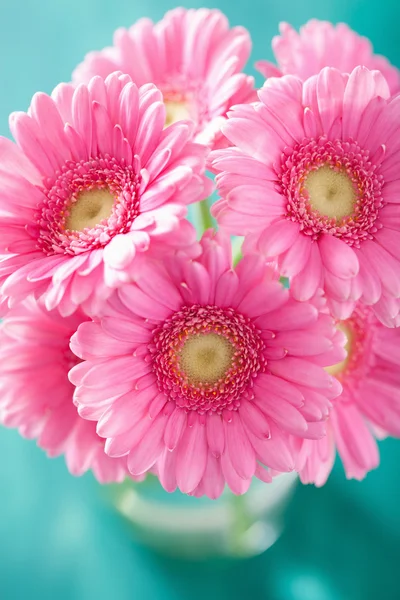 Hermoso ramo de flores de gerberas rosadas en jarrón — Foto de Stock