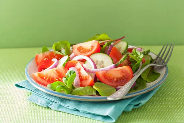 Здоровый томатный салат с луковым огуречным перцем — стоковое фото