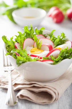 yumurta turp ve yeşil yaprakları ile sağlıklı salata