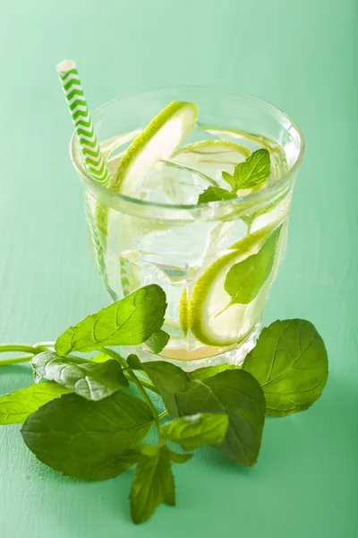 Cocktail mojito fresco sobre fundo verde — Fotografia de Stock