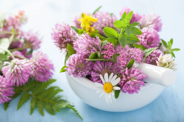 Barevné lékařské květin a bylin v třecí misce — Stock fotografie