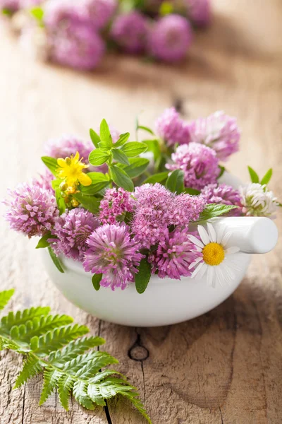 Colorful medical flowers and herbs in mortar — Stock Photo, Image