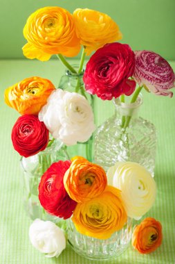 Vazoda yeşil arka plan üzerinde renkli tipik çiçekler