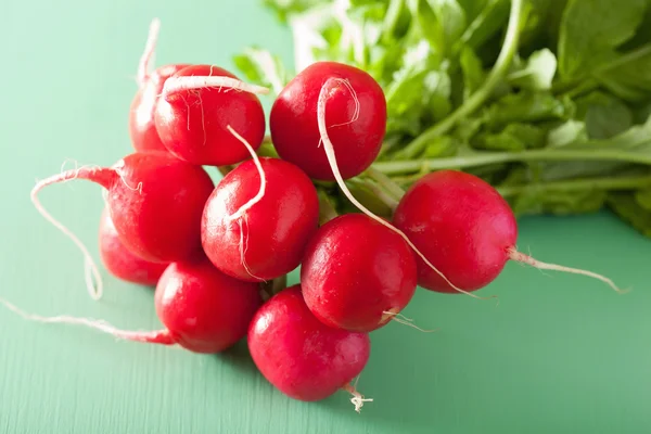 Fresh radish with leaves over green background — Stock Photo, Image