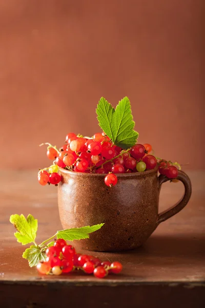 Fresh redcurrant in cup over rustic wooden background — Stock Photo, Image